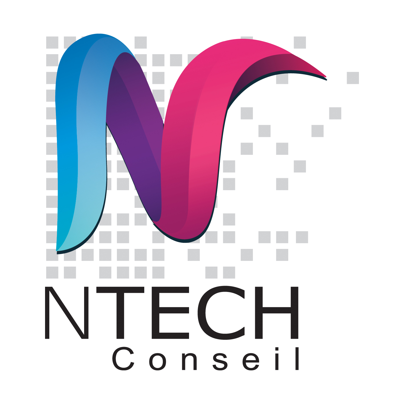NTech Conseil